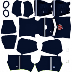 Bordeaux DLS Kits 2022