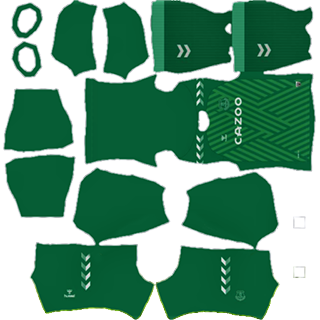 Everton FC dls kit 2022 gk away