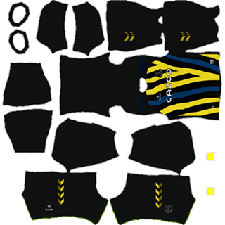 Everton FC dls kit 2022 gk home