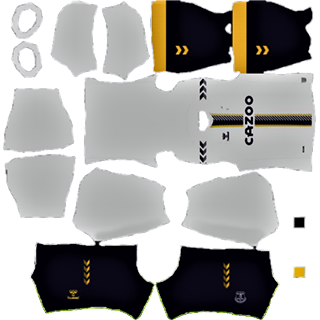 Everton FC dls kit 2022 gk third