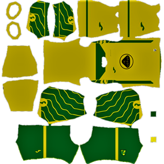 Norwich City DLS Kits 2022