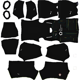 Barnsley FC dls kit 2022 gk home