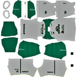 Chapecoense dls kit 2022 away