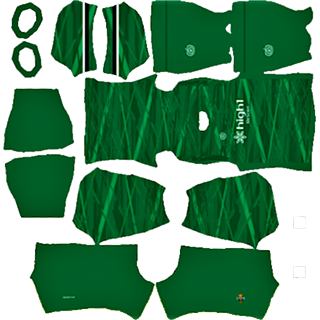 Gangwon FC dls kit 2022 gk home