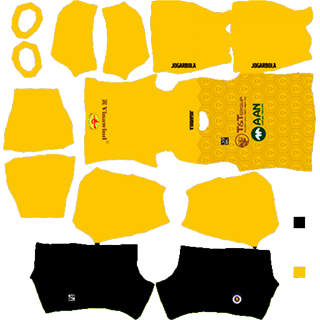 Hanoi FC dls kit 2022 gk home