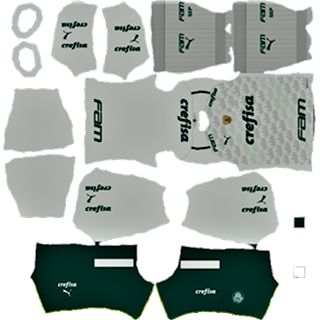 Pumas Palmeiras dls kit 2022 away