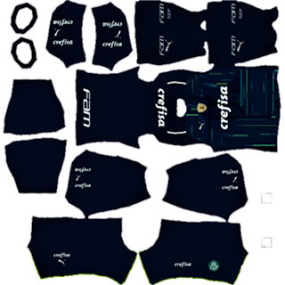 Pumas Palmeiras dls kit 2022 gk home