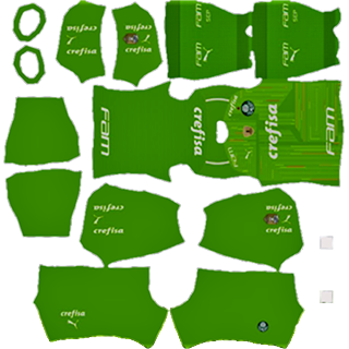 Pumas Palmeiras dls kit 2022 gk third