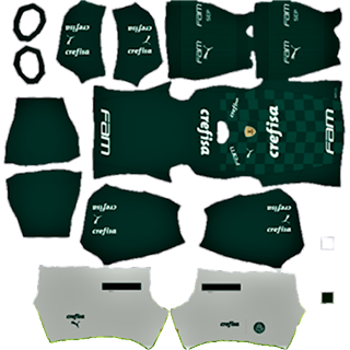 Palmeiras DLS Kits 2022