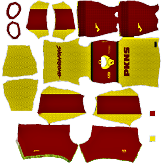 Selangor FA DLS Kits 2022