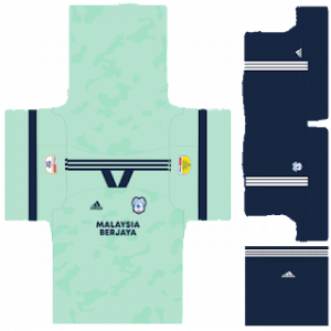 Cardiff City Third Kit 2023