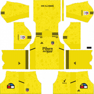 Colo-colo dls kit 2022 gk home