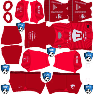 Pumas Unam dls kit 23 gk third