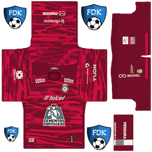 Club Leon PLS Kit 2025 GK Home