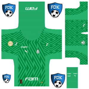 Palmeiras PLS Kit 2024 GK Home