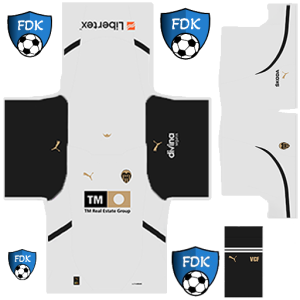 Valencia PLS Kit 2025 Home(2)