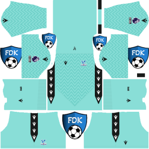 Crystal Palace FC dls kit 2025 gk home