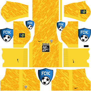 Angers sco dls kit 2025 gk away