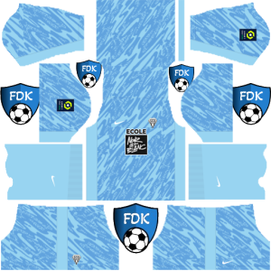 Angers sco dls kit 2025 gk third