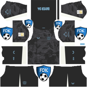 Bayer Leverkusen dls kit 2025 third