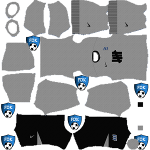 Birmingham City kit dls 2025 away temp