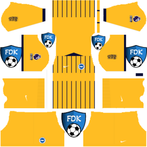 Brighton Hove Albion dls kit 2025 away