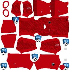 Brighton Hove Albion kit dls 2025 gk home temp