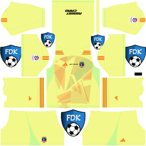 Colo Colo kit dls 2025 gk home