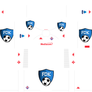 Fiorentina dls kit 2025 away