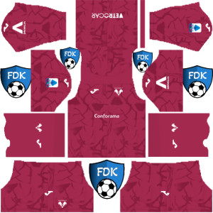 Hellas Verona FC dls kit 2025 gk home