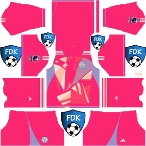 Leicester City dls kit 2025 gk away