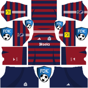 Newcastle United F.C dls kit 2025 away