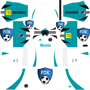 Newcastle United F.C dls kit 2025 third