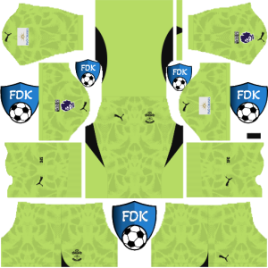 Southampton dls kit 2025 gk home