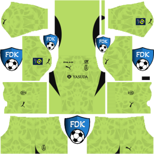 Stade de Reims dls kit 2025 gk away