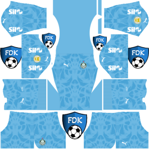 Palmeiras dls kit 2025 gk home