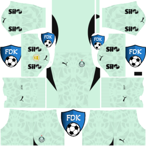 Palmeiras dls kit 2025 gk third