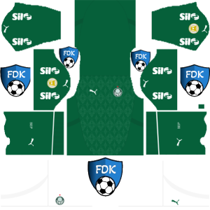 Palmeiras dls kit 2025 home