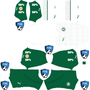 Palmeiras kit dls 2025 away