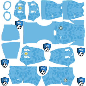 Palmeiras kit dls 2025 gk home