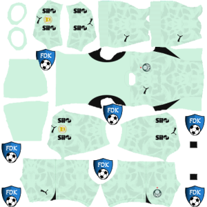 Palmeiras kit dls 2025 gk third
