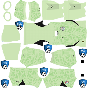 Egypt kit dls 2026 gk home leaked