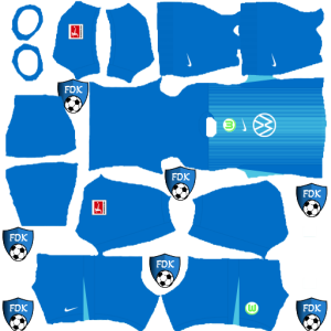 VfL Wolfsburg kit dls 2026 gk third